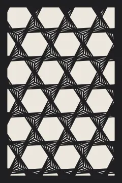 Twisted hexagons
